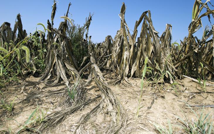 Governor Rick Perry has extended the drought disaster declaration. (Photo courtesy of thegazette.com)