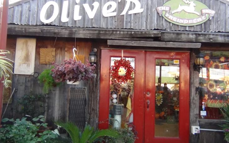 Olive's Nursery on Sherwood has been around for 71 years (LIVE! photo by Cheyenne Benson)