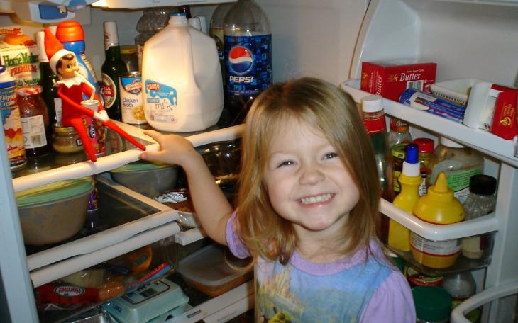 Elves can hide in unusual places like the refrigerator (photo courtesy of scjohnson.blogspot.com)