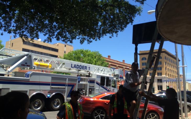 Firefighters rescue kittens on Beauregard. (Contributed Photo/Sara Terral)
