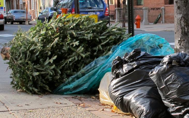 Don't throw your trees in the street or in a dumpster, the city has set up two drop off locations. (Photo courtesy of chesapeakecompost.com)