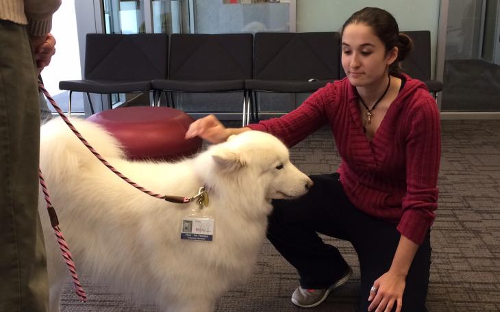 Therapy dogs Bucky and Flyer were at ASU on Monday to help students relax as they study for finals. (LIVE! Photo/John Basquez)