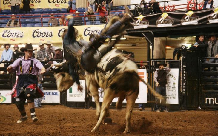 Bullfighter Ethan McDonald in action Feb. 15, 2014 (LIVE! Photo/Justin Bancroft)