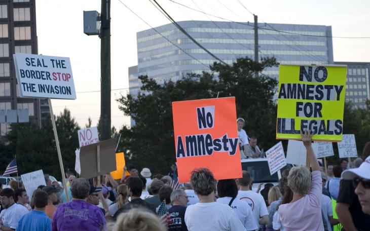 Tea Party anti-amnesty protest. ( Mike Schinkel/Flickr)