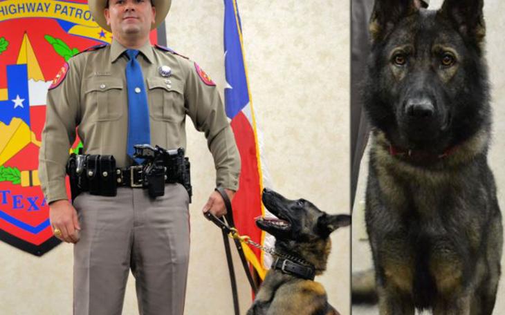 New Canine Teams Join DPS Crime Fighting Efforts. (Contributed/Texas DPS)