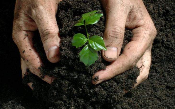 Many of the nutrients in synthetic fertilizers are artificially made from petroleum. (Photo courtesy of environment.nationalgeographic.com)