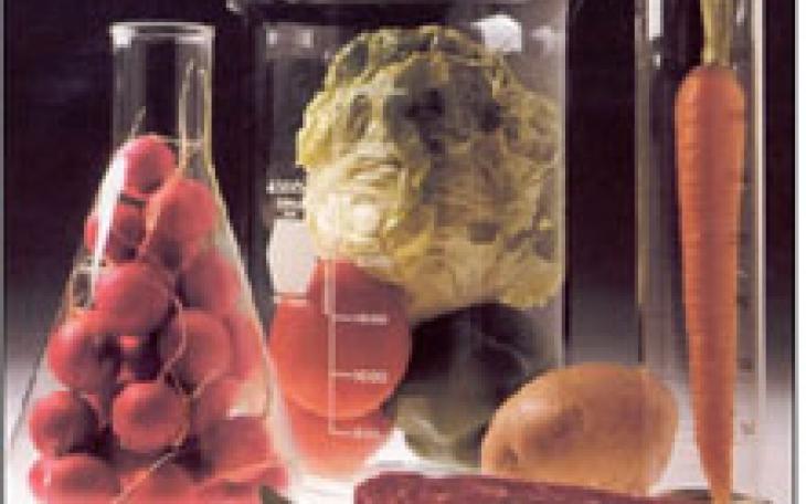 Food additives, such as certain preservatives are derived from petrochemicals. (Photo courtesy of foodadditivesworld.com)