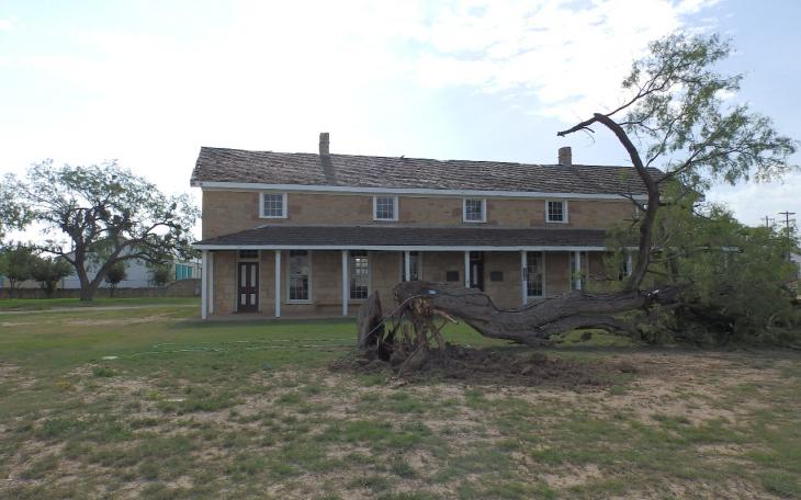 A mesquite tree at Fort Concho that was blown over by strong winds during a storm Wednesday evening in San Angelo. (LIVE! Photo/Matt McDaniel)