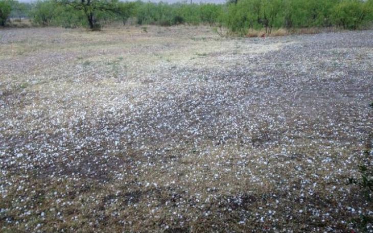 Hail in Knickerbocker, TX (LIVE! Photo/Joe Hyde)