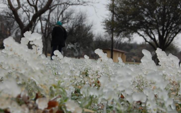 LIVE! Photo/John Basquez