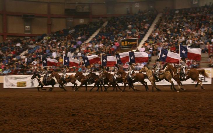 Livestock at the San Angelo Stock Show and Rodeo (LIVE! Photo/Justin Bancroft)