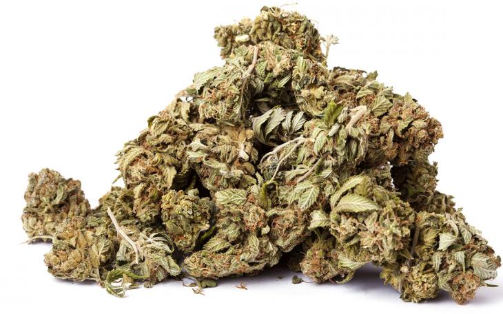 Marijuana buds.  (LIVE! Archive Image)