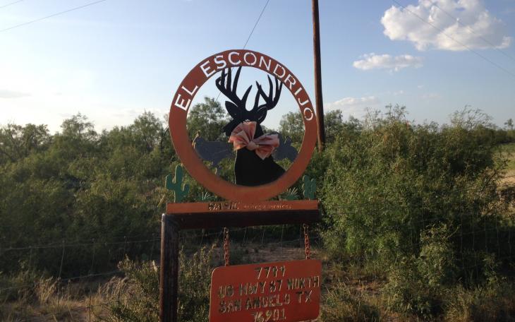 LIVE! Photo/Joe Hyde