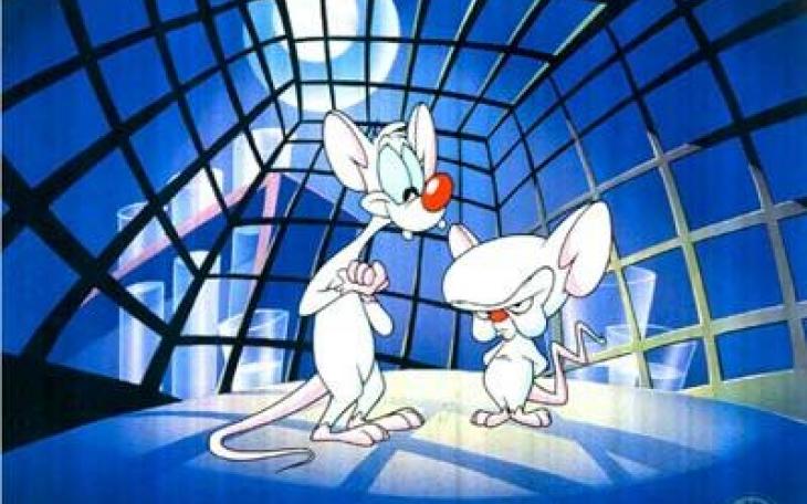 ASU students will compete in the Battle of the Brains to overcome real world issues, like how to get out of a cage and take over the world. (Photo courtesy of WB and Google.)