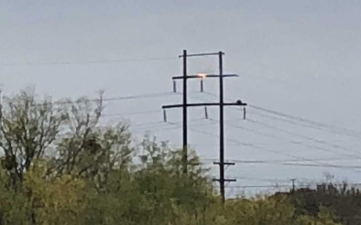 Power Line (LIVE! Photo Archive)