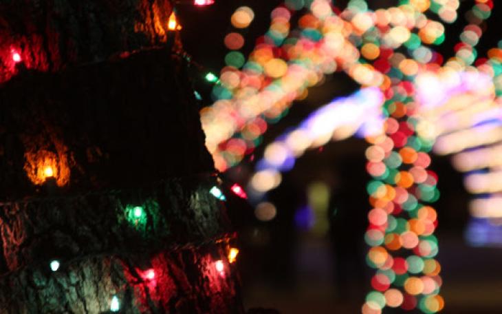 Christmas Lights.  Photo Courtesy COSA