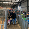 Barns Open for the 2021 San Angelo Livestock Show