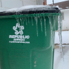 Frozen Republic Trash Can
