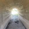 Abandoned Rail Road Tunnel State Park (LIVE! Photo/Yantis Green)