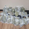 19 Pounds of Marijuana