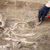 Archaeology