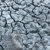 Dry N. Concho River at River Bend Park Oct. 5, 2022 (LIVE! Photo/Yantis Green)