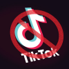 Texas Bans TikTok (Courtesy/techcrunch)