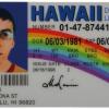 Fake Drivers License from Movie (Courtesy/Amazon)