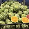Concho Valley Farmer's Market Melon Fest