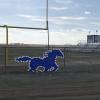 Olfen High School's football stadium