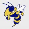 Rochelle Hornets logo