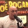 Joe Rogan Endorses Trump for President on Podcast with Elon Musk