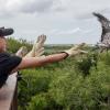 Texas Wildlife Center Needs Help to Save Endangered Species