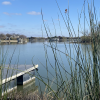 A View of Lake Nasworthy