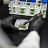 The Texas Senate advanced a bill Tuesday that will expand the conditions eligible for the state’s medical marijuana program.