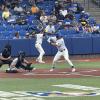 Angelo State Baseball at the Lone Star Conference Tournament