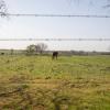 The Texas House has approved the negotiated version of a bill that aims to ban people tied to the governments of China, North Korea, Russia and Iran from purchasing land in the state.