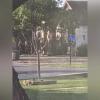 Buffalo Heights Standoff on June 19