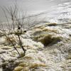 Flood Waters