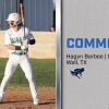 Wall Hawks Hagyn Barbee