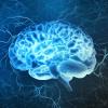 Dementia Prevention and Research Institute of Texas (DPRIT).