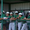 The Wall Hawks are shown in the dugout during a game against Abilene High during the 2026 baseball season.