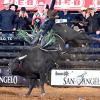 Sunset's John Crimber scored a 90 on Sunday, April 5, to move into the top spot at the San Angelo Rodeo.
