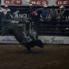 LIVE! Daily News | Win Tickets to X-Treme Bulls at the Rodeo