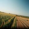 A representative image for the 2026 Farm Bill passed by the U.S. House on Apr. 30, 2026.