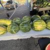 Watermelons are shown from the Concho Valley Farmer's Market.