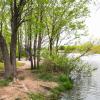 Lytle Creek at Cal Young Park in Abilene