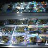 Individual packages of THC-A flower are seen in a display case at a smoke shop in Austin on May 13, 2026.