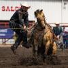 Ty Harris competes at the Ponoka Stampede during the 2026 rodeo season.