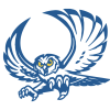 Reagan County logo